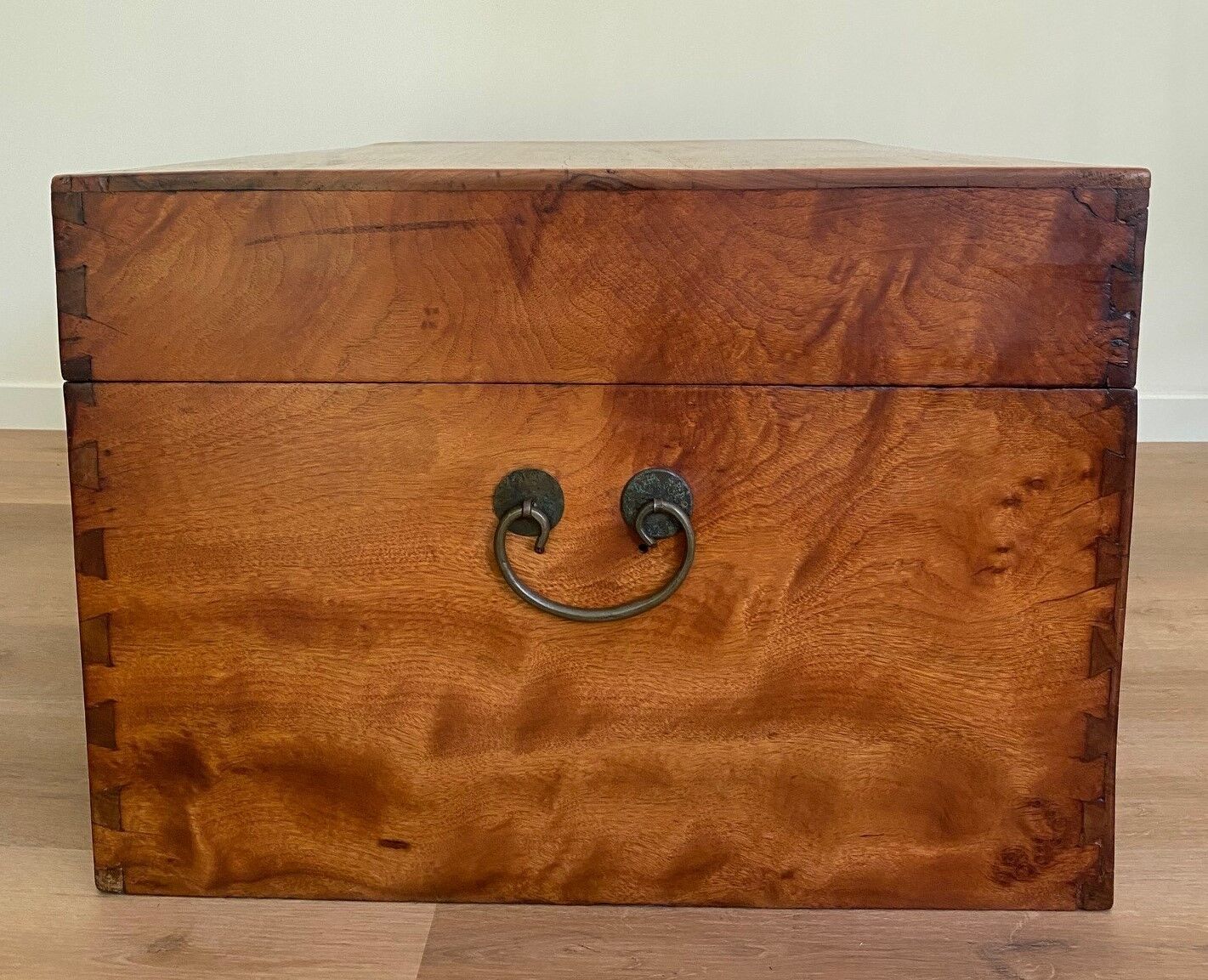 Chinese chest in camphor tree