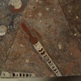 Fossil Stone Pedestal Coffee Table, France, 1970's