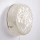 German vintage round ceiling lamp by Kaiser Idell, 1960s