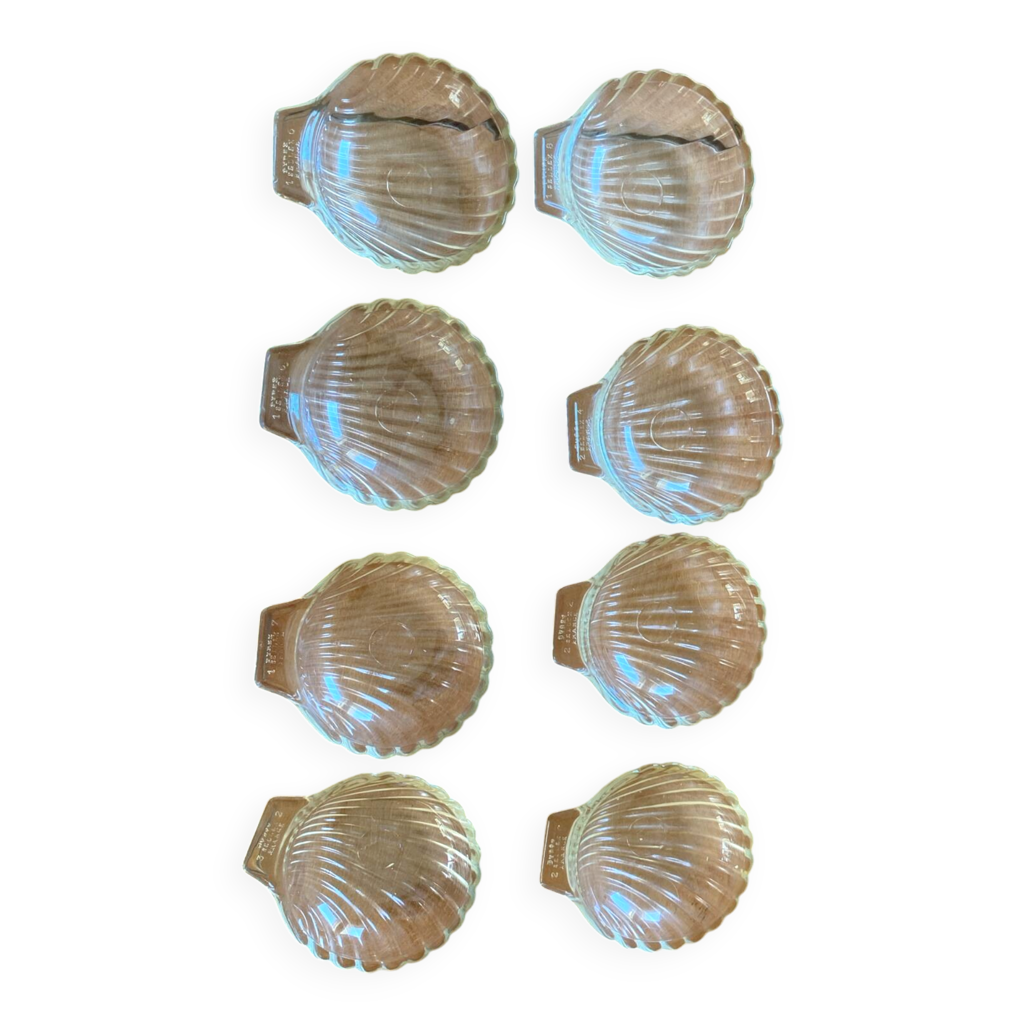 Pyrex scallop shell set