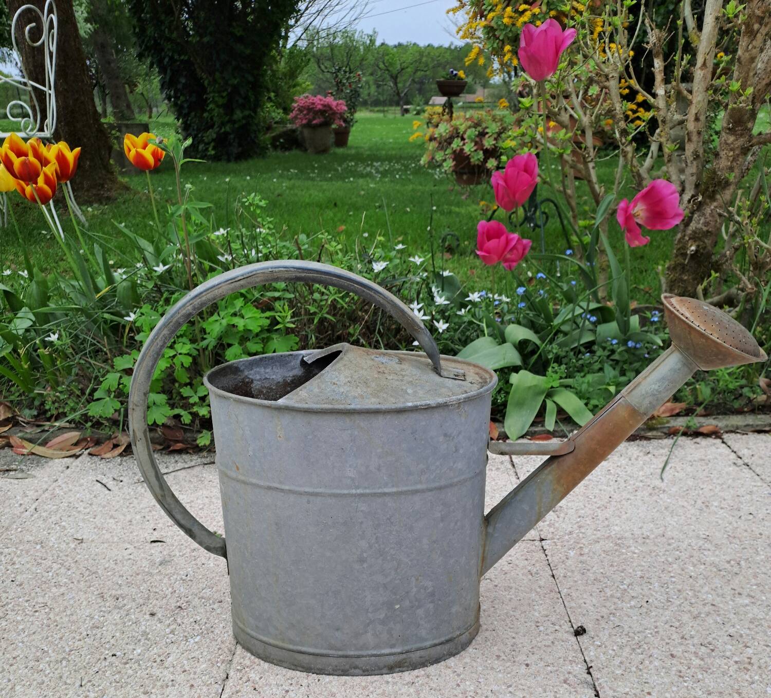 Old zinc watering can