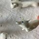 12 Art Deco porcelain knife holders