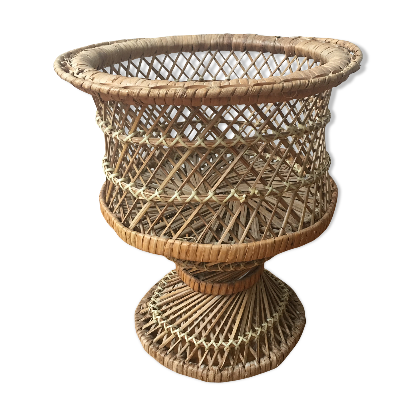 Door vintage wicker plants