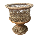 Door vintage wicker plants