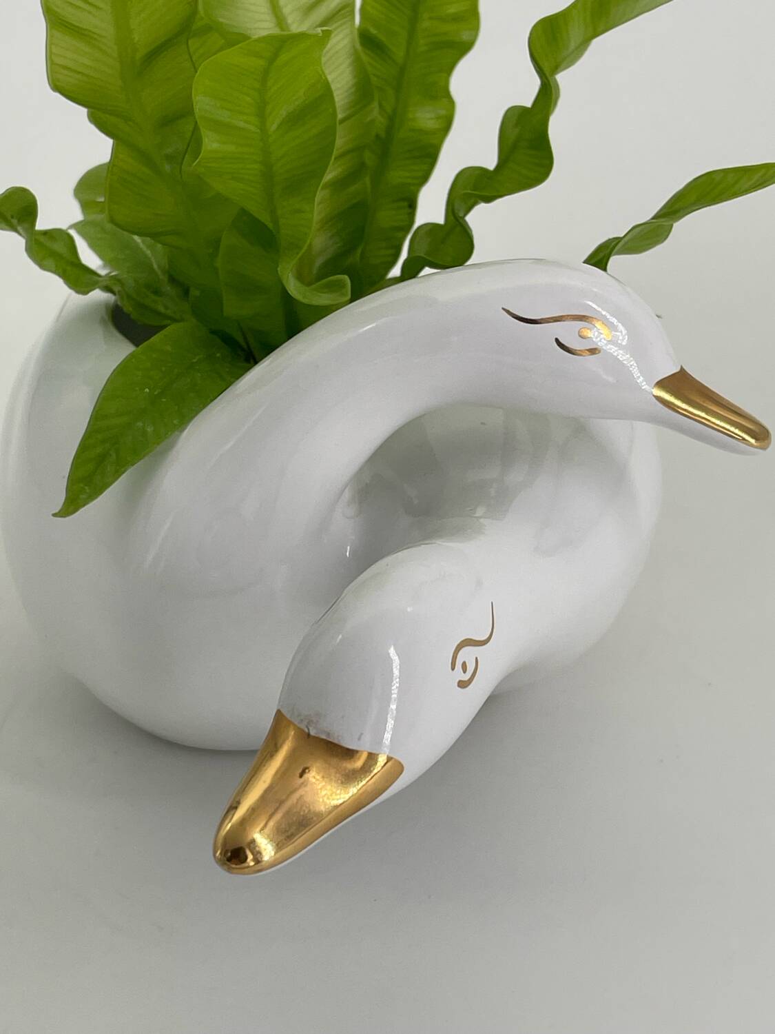Cache pot two swans in vintage white and gold porcelain