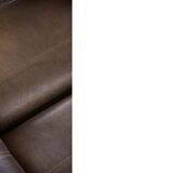 Fauteuil DS-50 vintage en cuir de buffle par De Sede