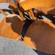 Lot of 60 wooden bistro chairs from the Baumann 1970s