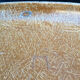 Eames Herman Miller chair