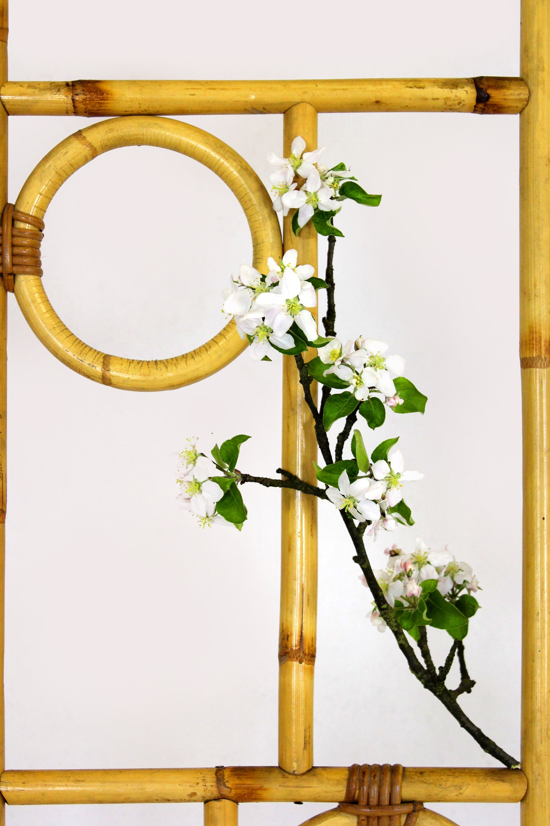 Vintage Bamboo and Rattan Room Divider, 1970s