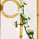 Vintage Bamboo and Rattan Room Divider, 1970s