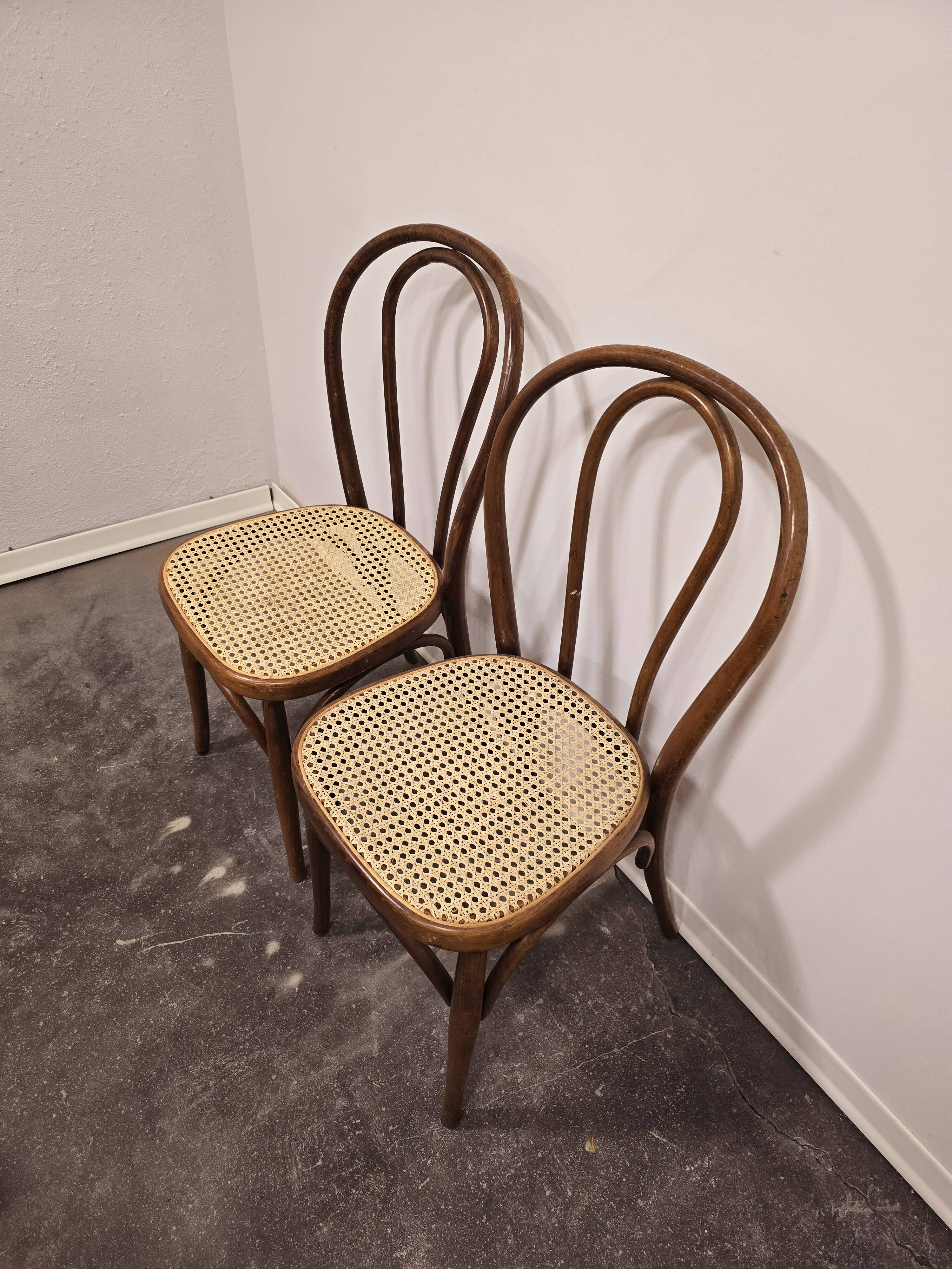 Bois courbé n° 18, années 1960 1 sur 2