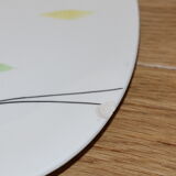 Set of Salins earthenware dishes