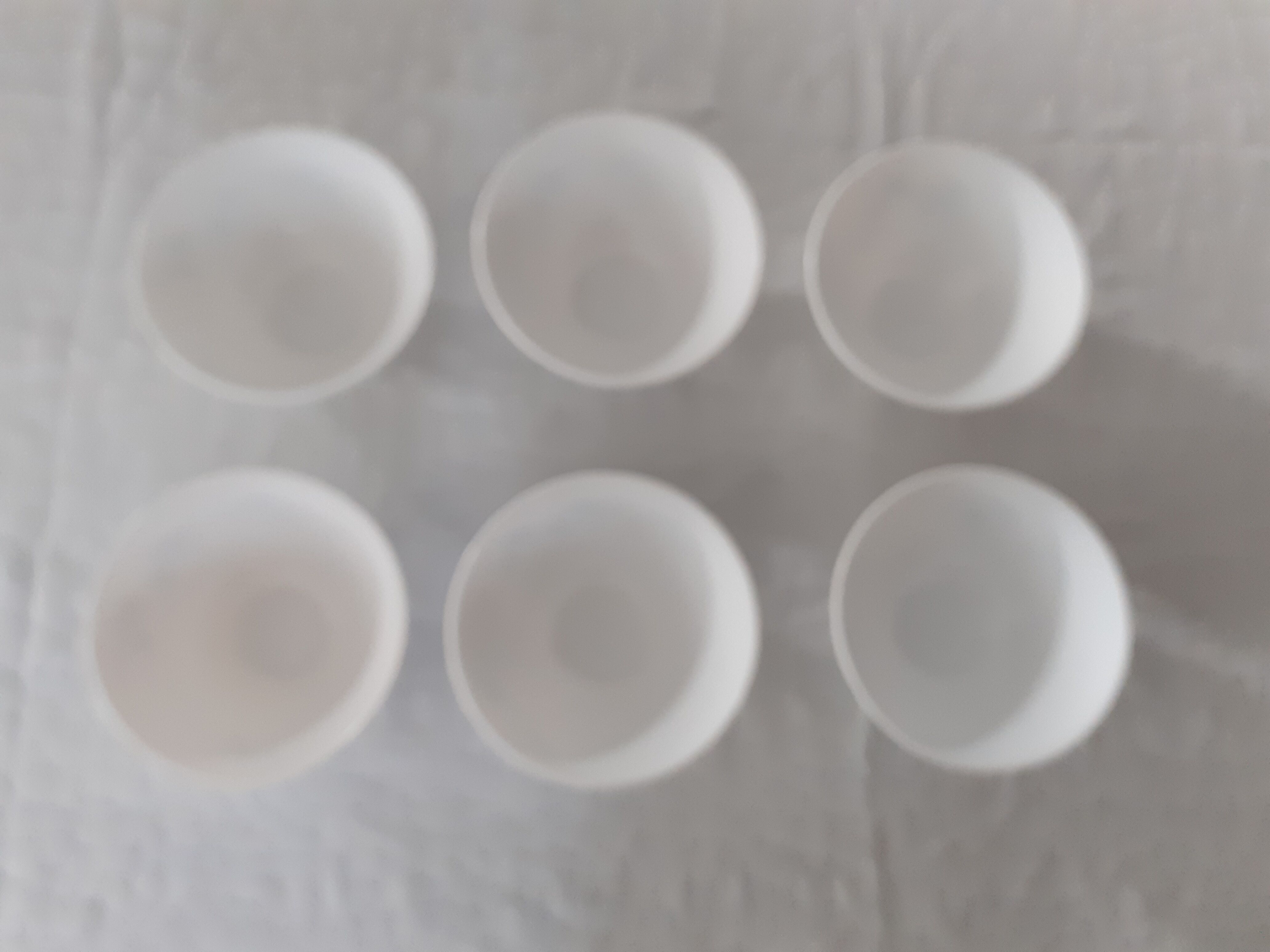 6 bowls VERONICA small blue flowers Arcopal france