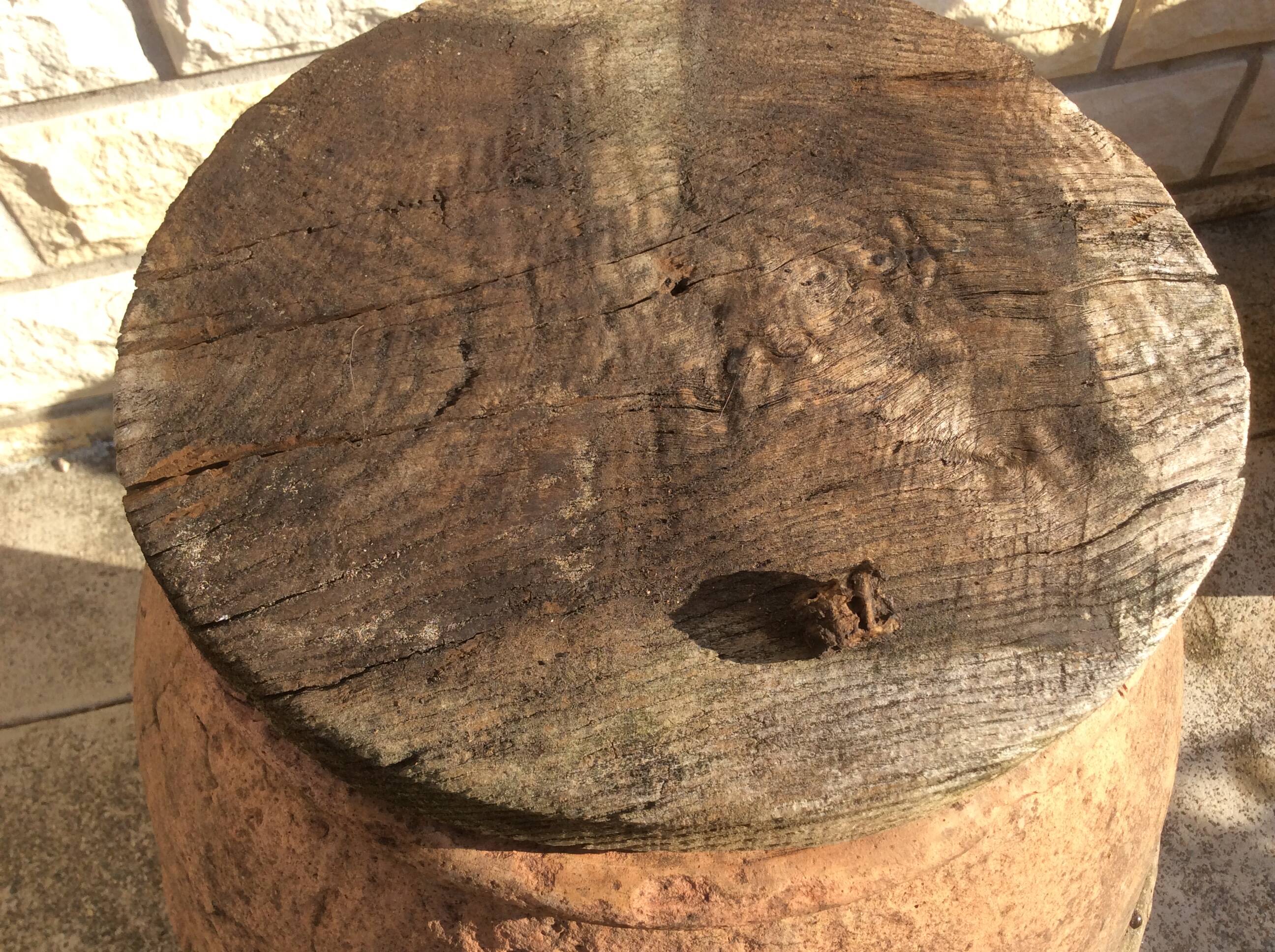 Ancient Orcio dà olio italiano