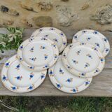 Hollow plates Hamage Moulin des Loups