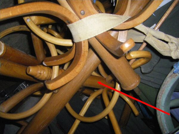 Portemanteau perroquet