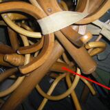 Portemanteau perroquet