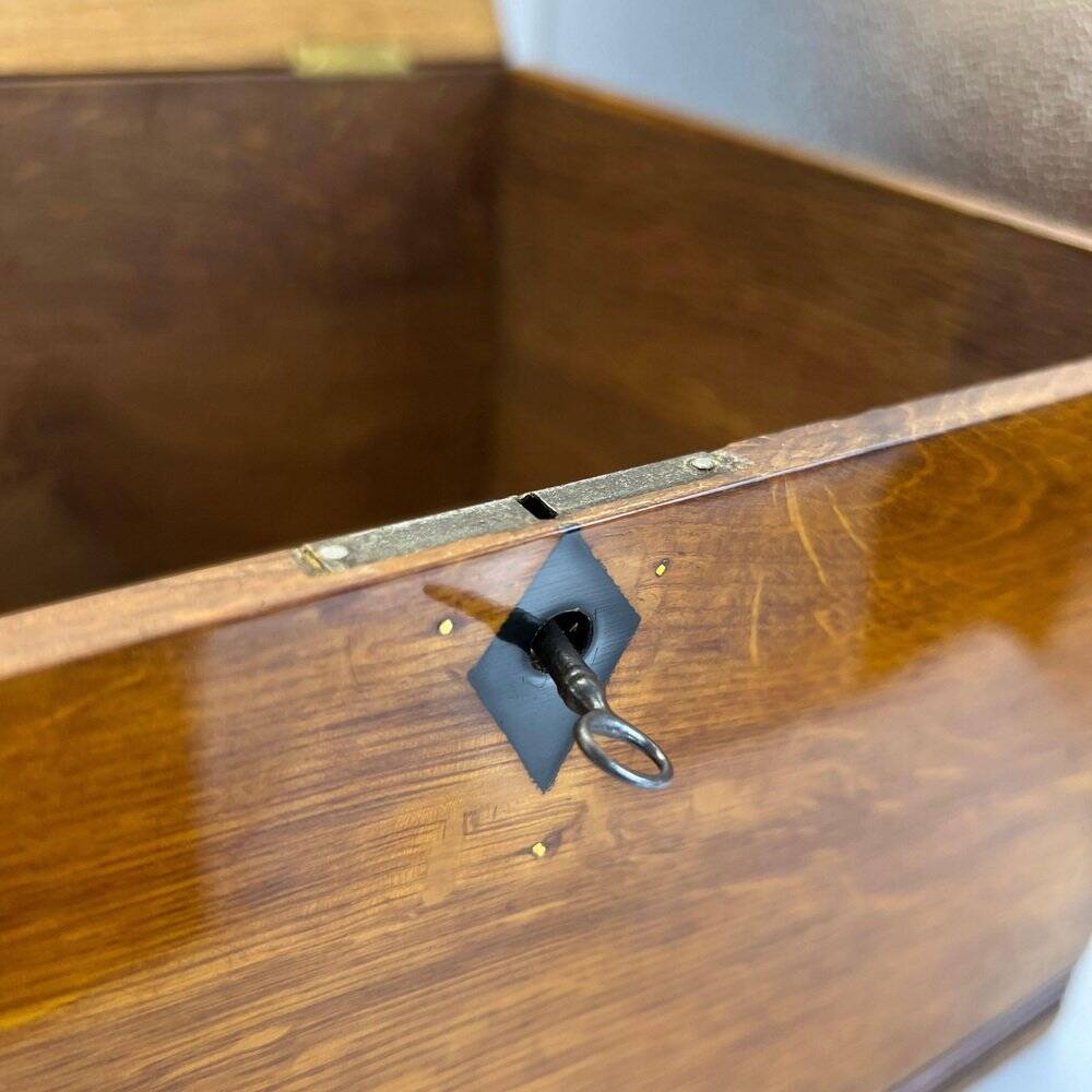 Jugendstil / Art Nouveau Box in Partly Ebonized Solid Oak, Austria, 1900