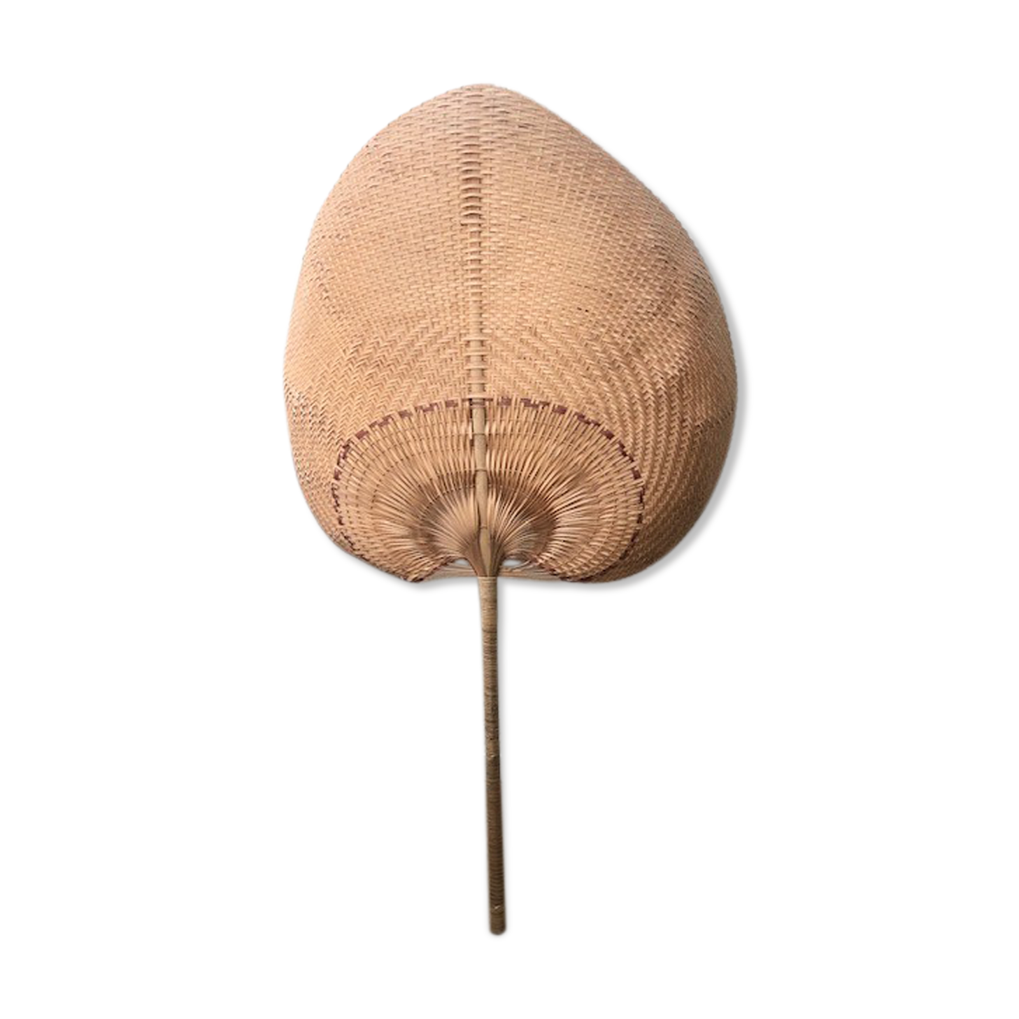 Wicker palm