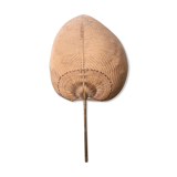 Wicker palm