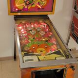 Flipper bally zip a doo 1970