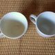 Duo coffee cups Art Deco Sarreguemines Denise & Badonviller Roses collection