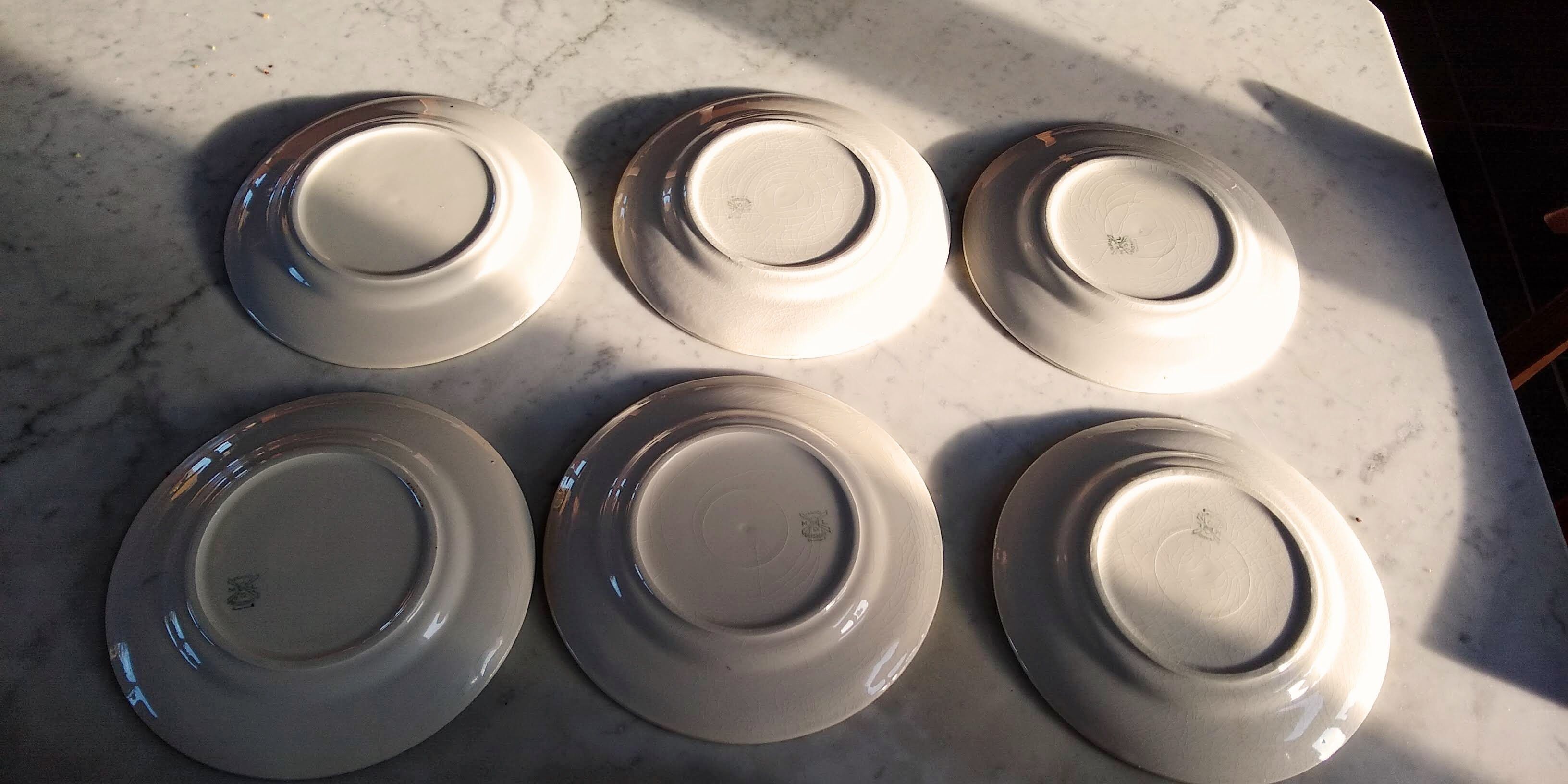 6 flat plates Orchies Moulin des loups jaunes with black edging