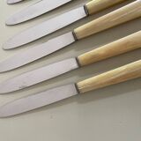 Set of 12 antique knives in green case