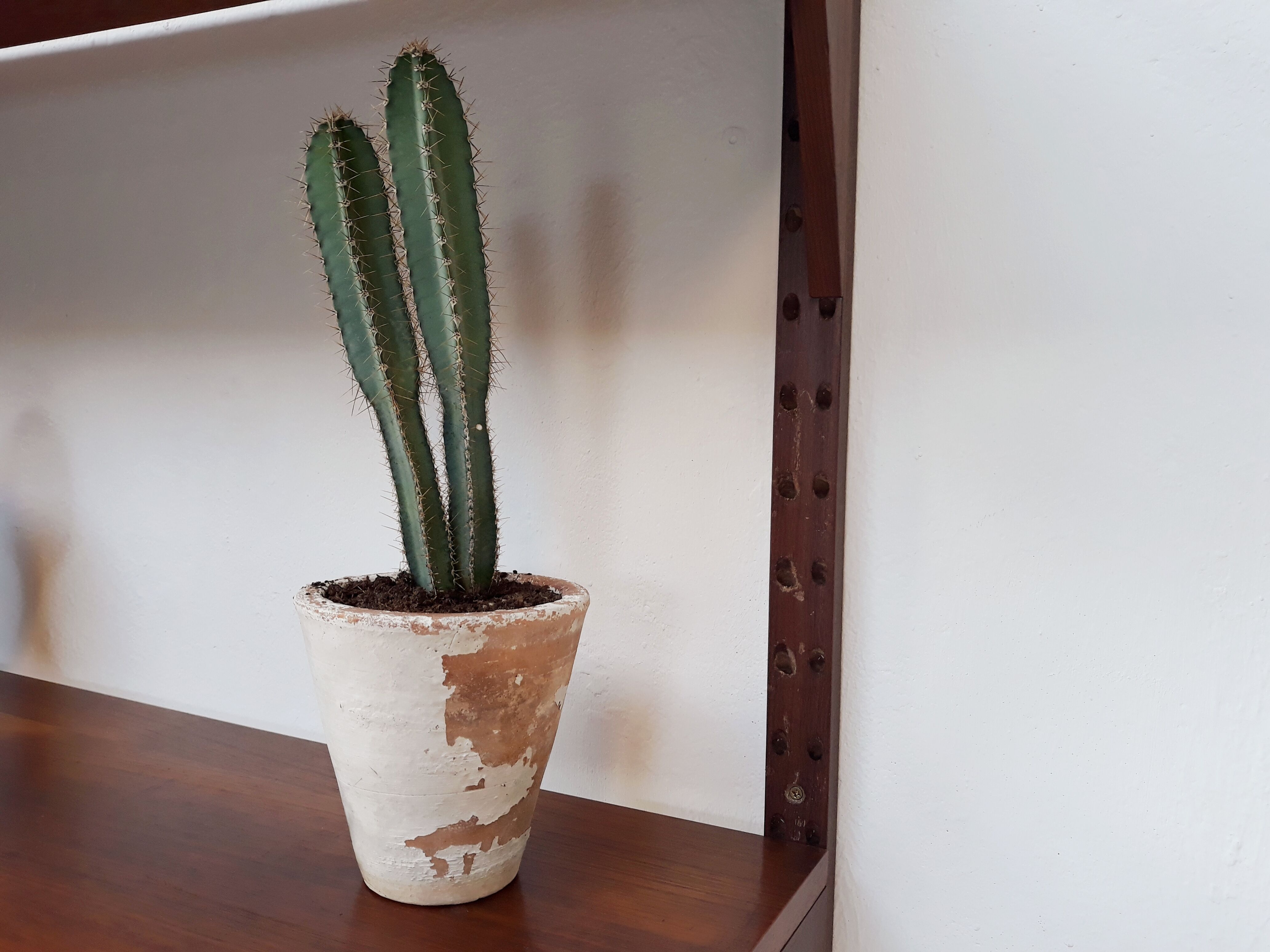 Étagère modulable scandinave en teck royal system par Poul Cadovius