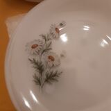 Vintage arcopal plates daisy pattern 1965 France