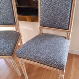 Two Louis XVI Jacob style chairs early 20th