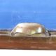 Showcase glass dome and gilded brass