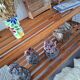 Vintage bakery shelves, old trade furniture