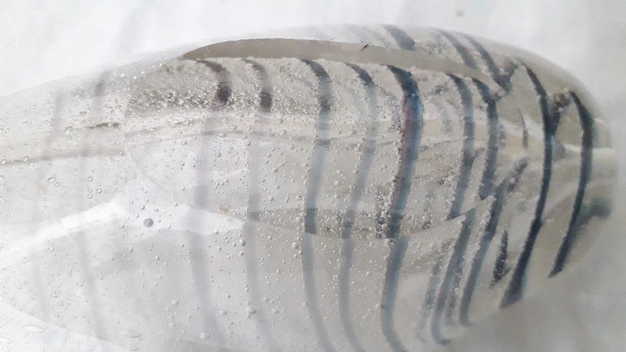 Shell-shaped glass catchall