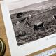 Col de la Perche, Pyrénées-Orientales, photo print from 1937.