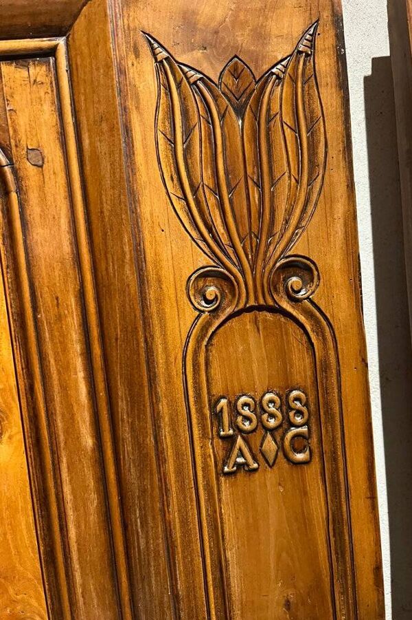 Paire de portes XIXème noyer et ronce de noyer