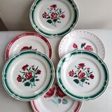 Six mismatched plates iron earth