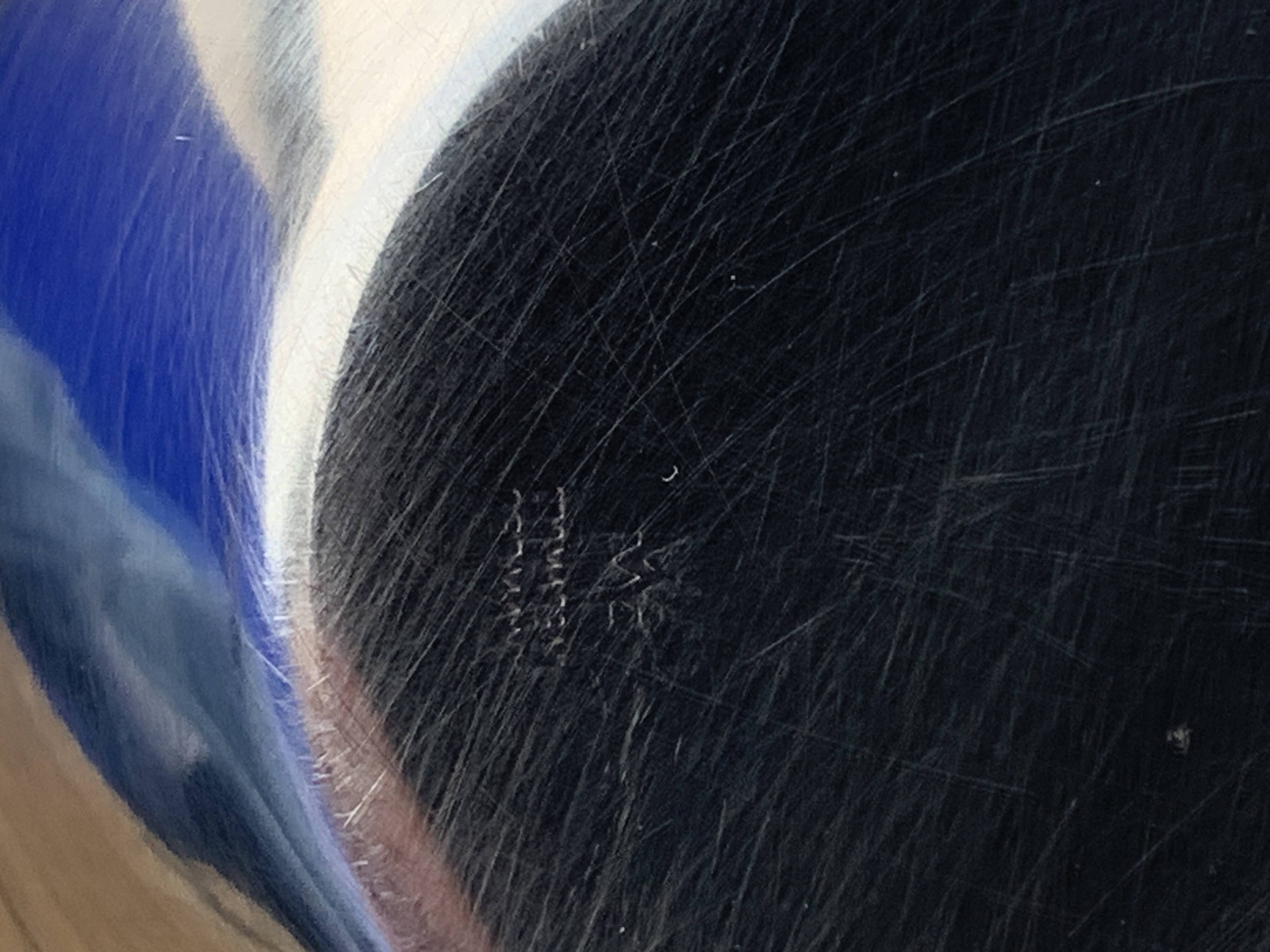 German salt and pepper shaker WMF in metal and glass, 1970