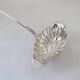 Silver metal sauce ladle