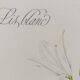 Lys white botanical board