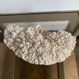 White coral 33 cm