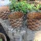 Suite of three cache pots imitation wicker braided by Emsa / vintage 60s-70s