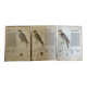 Illustrations rapaces