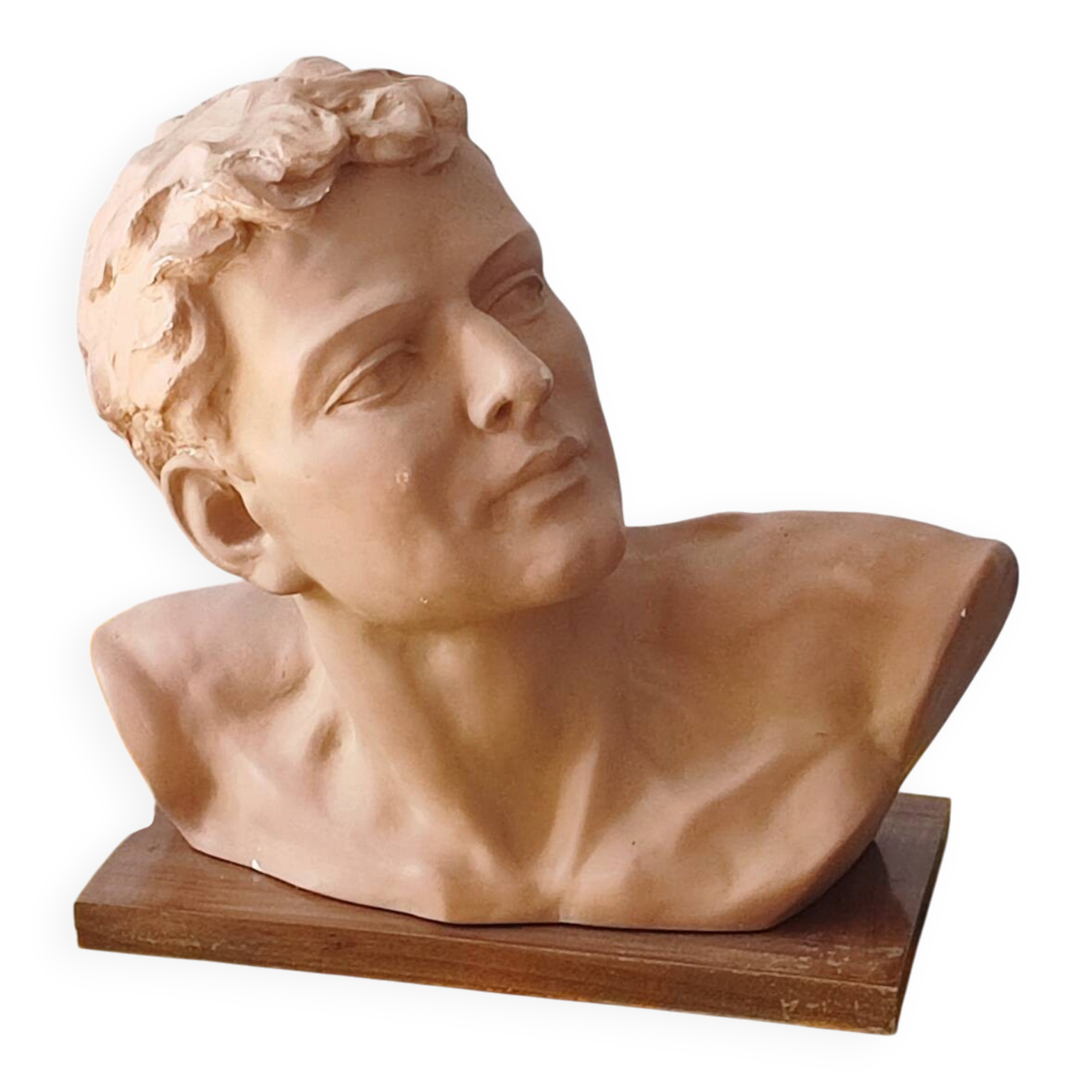 Head of a youth in terracotta