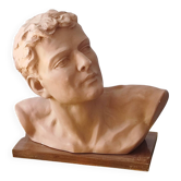 Head of a youth in terracotta