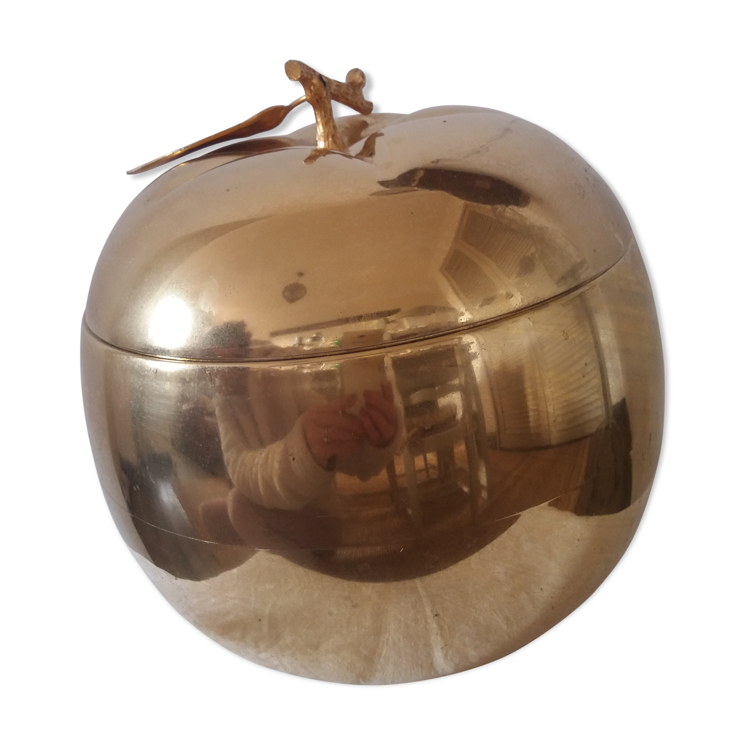 Apple Golden ice Turnwald international Collection