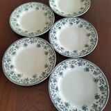 5 flat plates in St Amand "Jane" iron clay