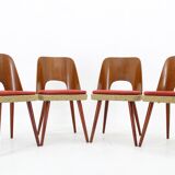 1960s Oswald Haerdtl ,Set of 4 Dining Chairs by TON, Czechoslovakia