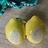 Lemon-themed appetizer dish set