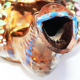 Important old staffordshire earthenware teapot called Jersey XIXa